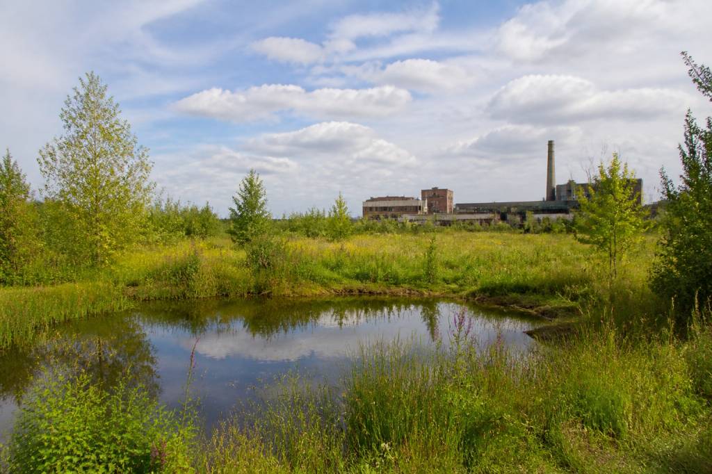 Comment la renaturation des friches industrielles peut accélérer la transition écologique et revitaliser les territoires en France